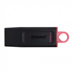 PENDRIVE KINGSTON 256GB EXODIA